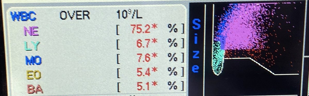 aly, RMT, 🔜 MD 💛✨ tweet media