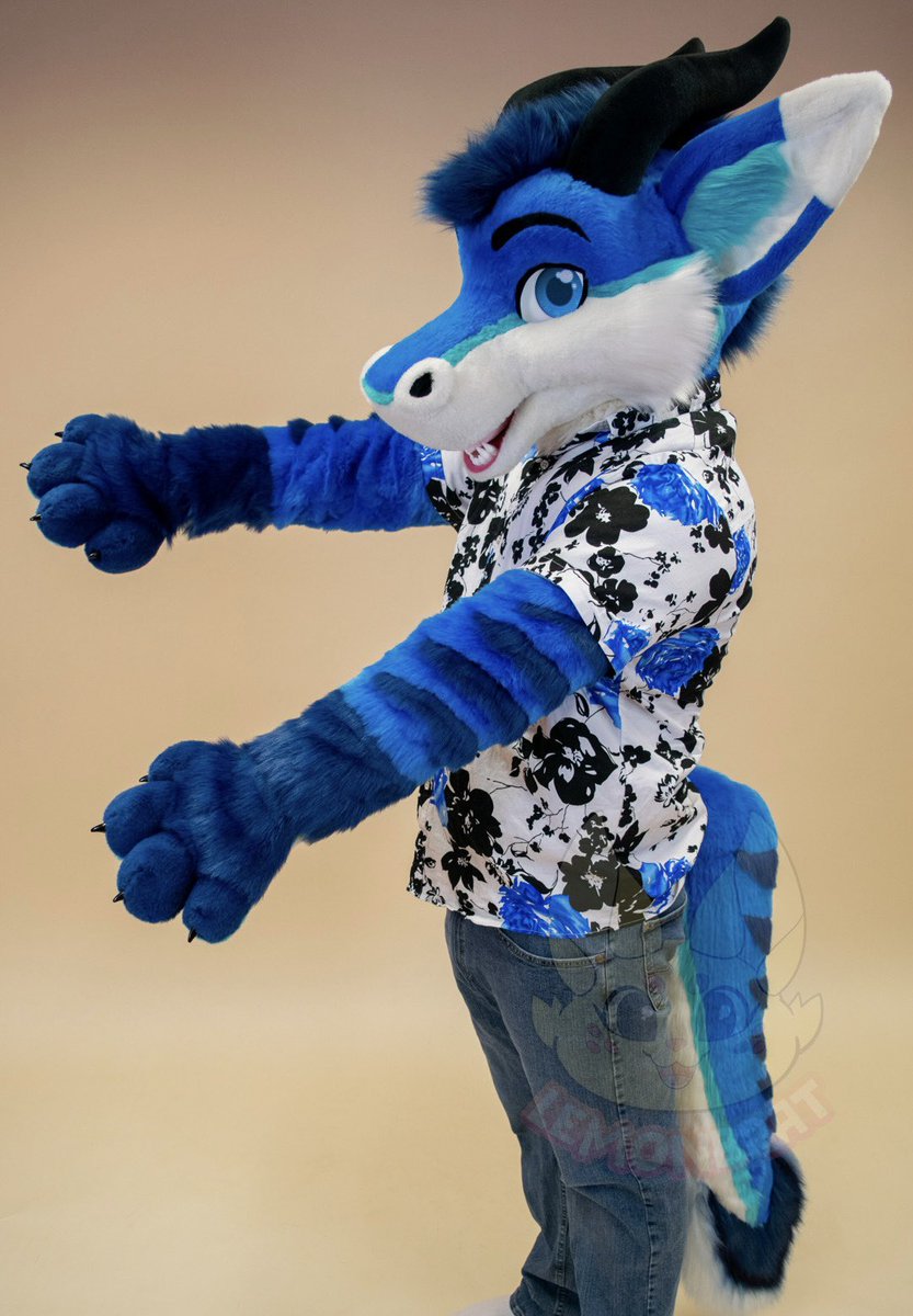 🐲 FluffyCyritz tweet media