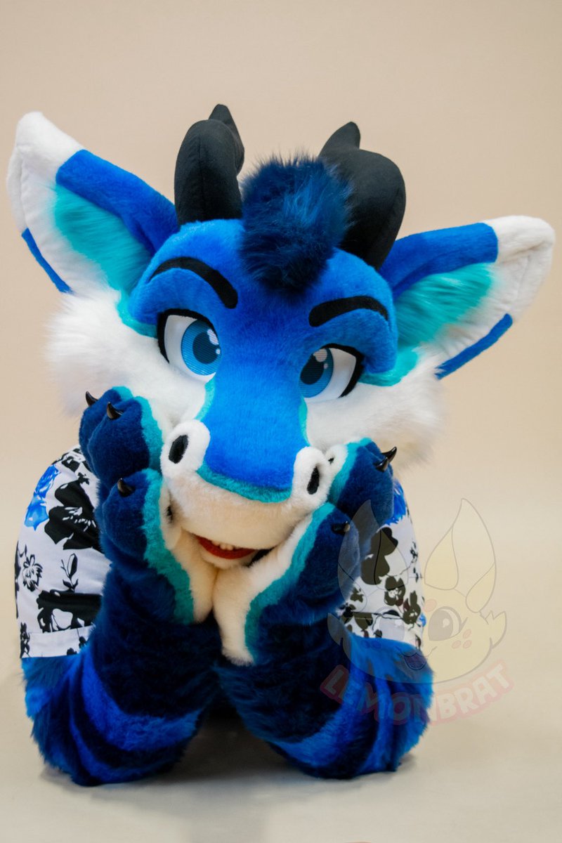 🐲 FluffyCyritz tweet media