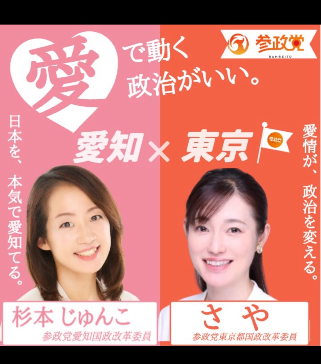杉本じゅんこ 参政党 愛知 参議院議員候補 on X: 