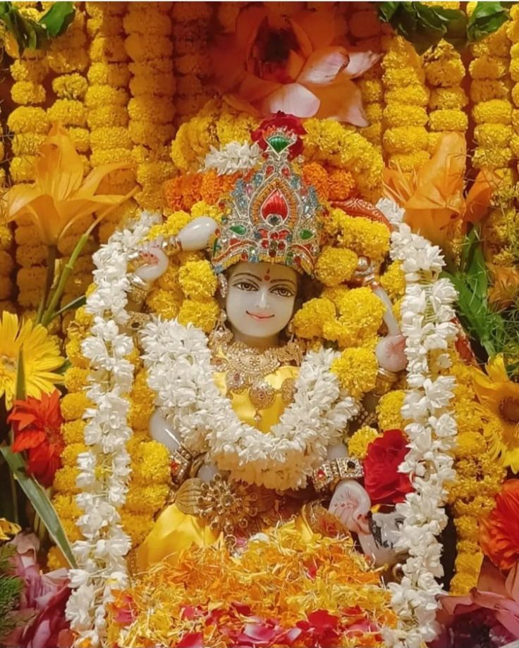 सच्चा दरबार है माया मोह से परे निशुल्क ममता की आंचल से कृपा बरसे सुबह सवेरे श्रंगार जय मां बगलामुखी