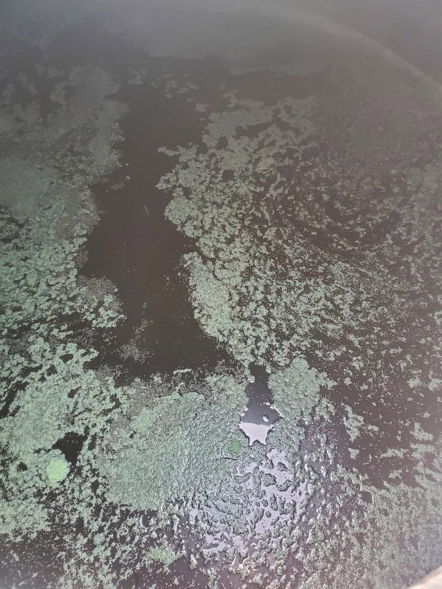 Solubilizing urea tip:
Beware of ESN contamination.
 When you are sourcing your urea for solubilizing, make sure you find a source that does not have crap like ESN in it. Apparently plastic (ESN) floats! Filters are your friends. (&amp; 2thinkwe're putting this plastic in our fields)