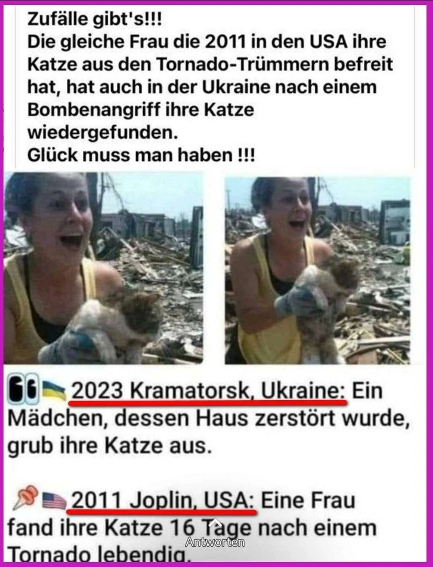 Wie kam die Katze nur in die Ukraine? 🤔😯