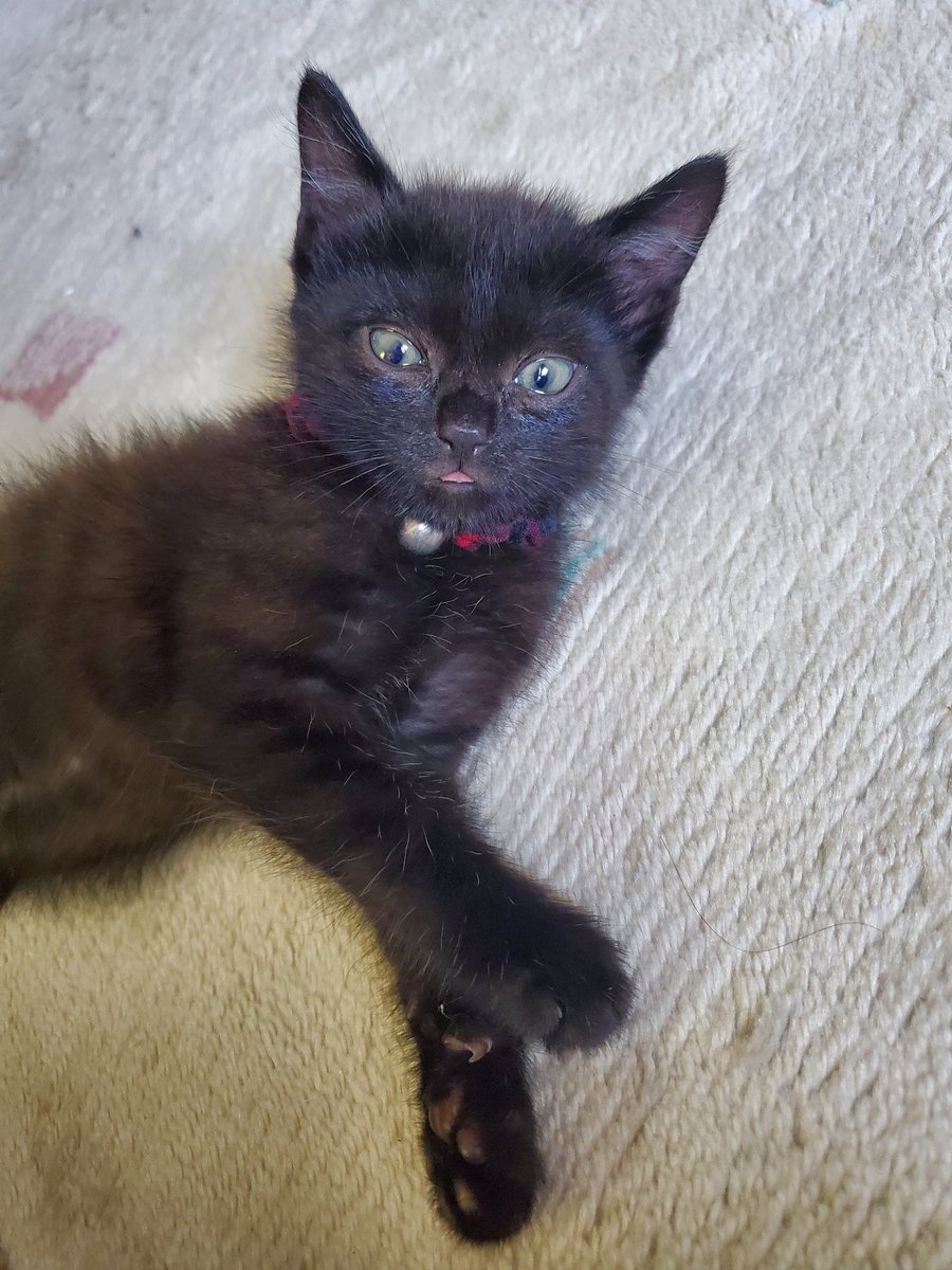 るのあ@mini tweet media