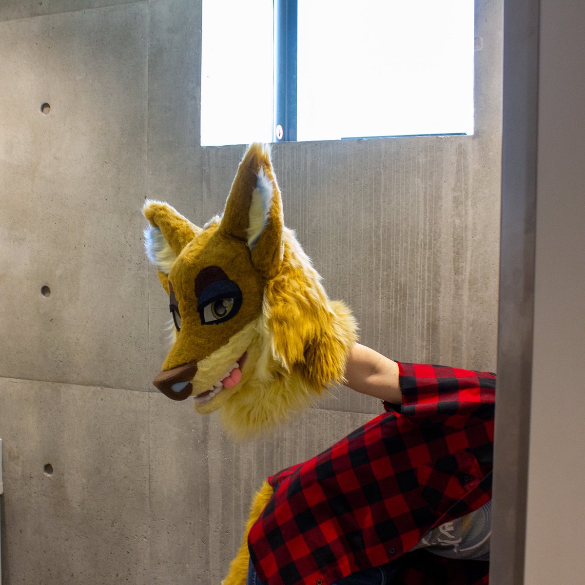 Bullet_Woof's tweet image. the goober 🥰😎