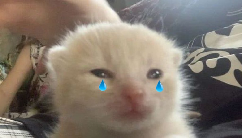 —¿Qué va a querer?
—Dos tacos de bistec.
—Sale taco de bistec.
—*ya no pide el otro taco* *c queda con hambre*