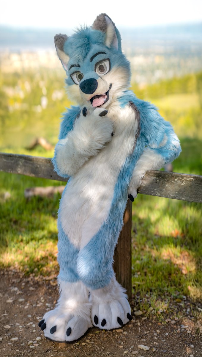 Zephyr (@zephyrousfox) on Twitter photo staying cool in the shade from the summer heat 😎
📸: <a href="/ChatahSpots/">ミーゴー💢🔜AFC🇺🇲,PH🇵🇭,獸無限🇹🇼,ケモコン🇯🇵</a>
🧵🪡✂️: <a href="/wolf_daz/">Daza 🔮 GOH BKB</a>
#FursuitFriday staying cool in the shade from the summer heat 😎
📸: <a href="/ChatahSpots/">ミーゴー💢🔜AFC🇺🇲,PH🇵🇭,獸無限🇹🇼,ケモコン🇯🇵</a>
🧵🪡✂️: <a href="/wolf_daz/">Daza 🔮 GOH BKB</a>
#FursuitFriday