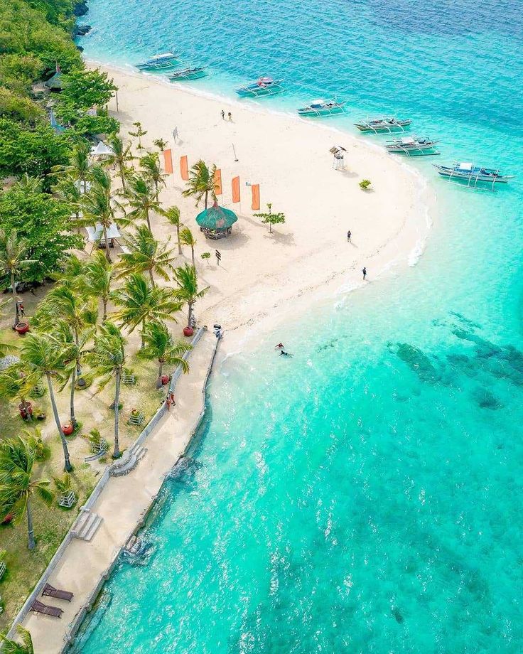 dwellot_ghana's tweet photo. 🎯 If you could move anywhere next — no visa issues, no money problems, no limits — where would you go?
🕌 City strolls through Istanbul
OR
🏝️ Island time in the Philippines
Dream out loud 👇🏾
Your next chapter starts in the comments.
#Travel #MoveAnywhere #DreamDestinations #ExpatsGuide