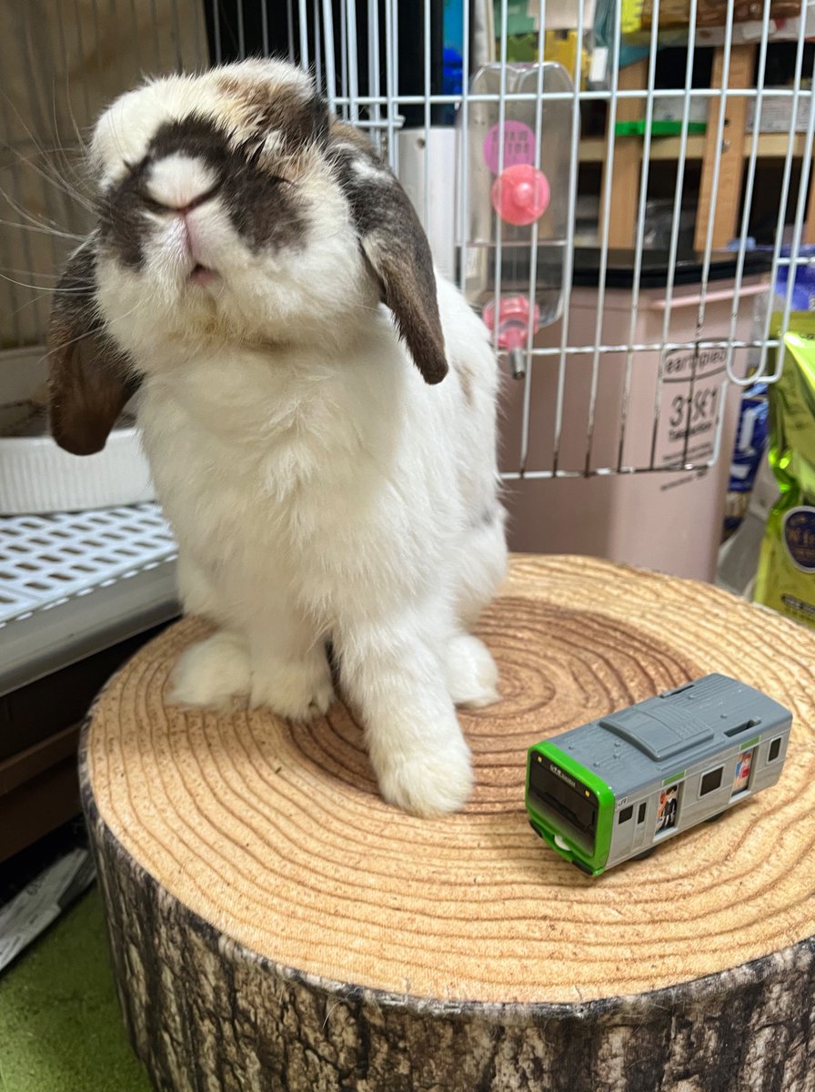 山手線こんでる