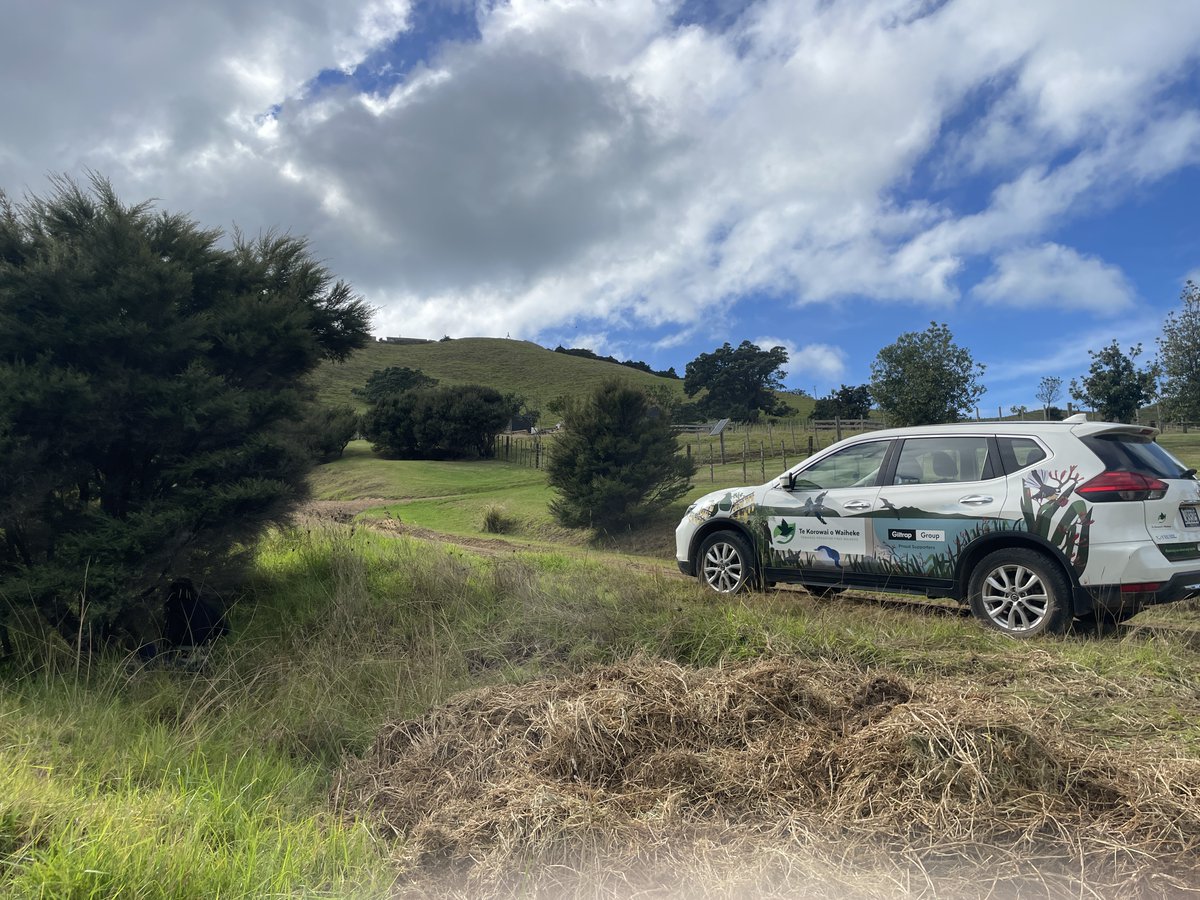 Thank you Giltrap Motors Trust! Since 2019 they’ve generously sponsored the lease of these two vehicles &amp; now they've gifted them to Te Korowai o Waiheke. These cars take us to remote spots to service some 1,700 stoat traps – we couldn't do it without them!