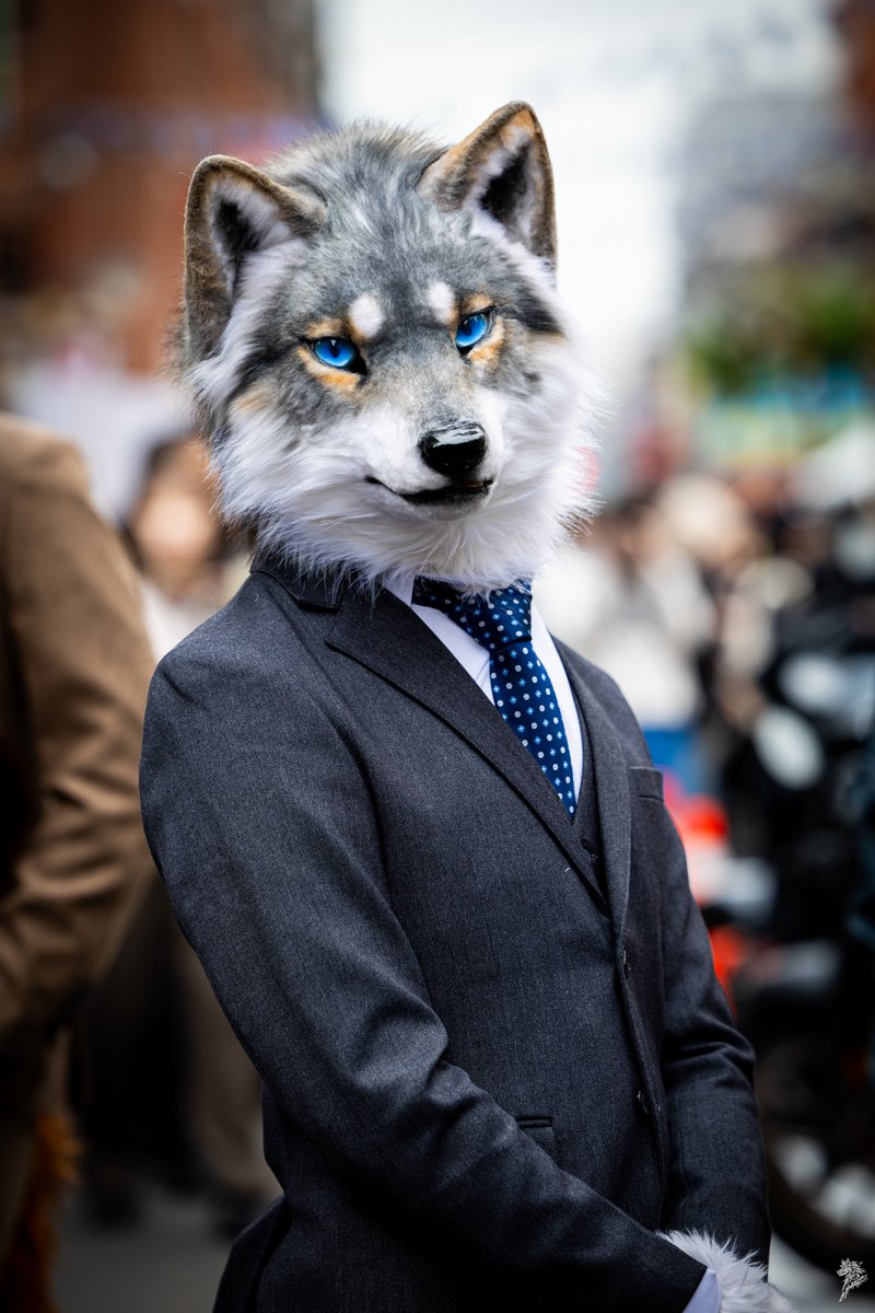 AkuWolf's tweet image. 🐺👔
📷@chiuwolf