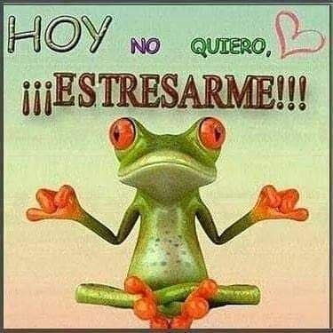 Alejandria64724's tweet photo. Sonríe, que hoy puede ser un gran día. #XLaVidaTúYYo #DeZurdaTeam https://t.co/P8gx6CCBtO