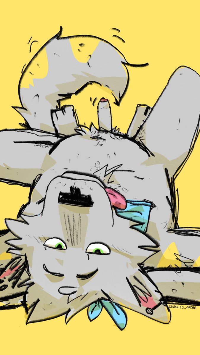 Lou the wolf tweet media