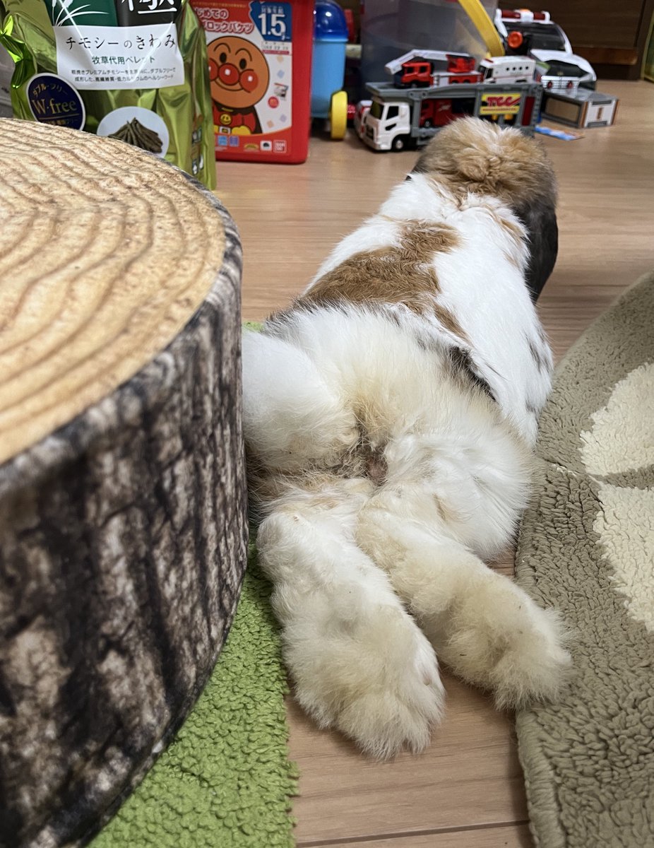 ひとりでずっとウルトラマンみてる