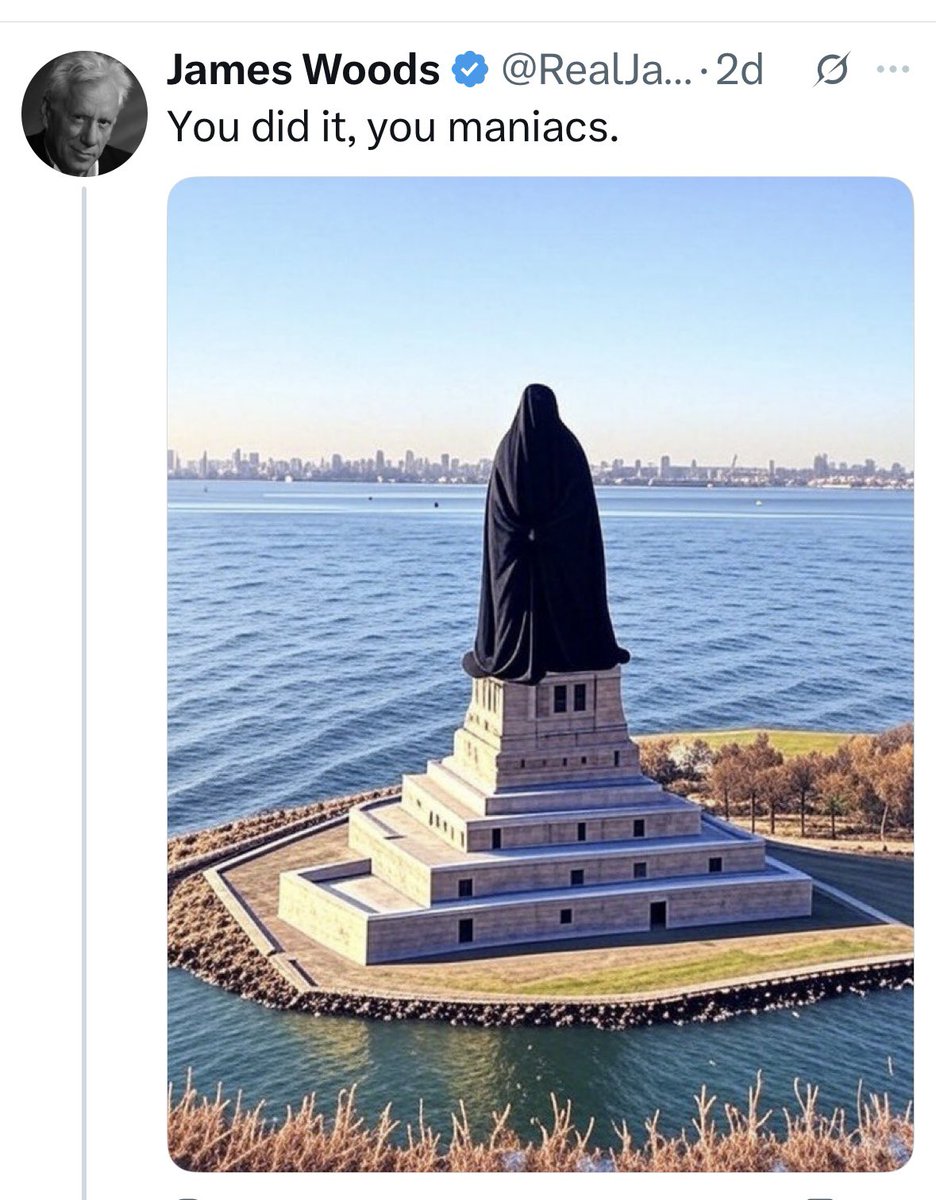 كمية العنصرية من اليمين ضد المرشح لمنصب عمدة نيويورك،زهران ممداني،فظيعة،وسببها الرئيس أنه مسلم،والمؤسف أن ساسة وكتّاب وفنانين شاركوا بهذا القبح.

هنا👇تغريدة للممثل جيمز وودز،الذي فضح X عنصريته النتنة

بموضوعية وبغضّ النظر عن الموقف منه،زهران مثل اوباما، متحدث فصيح بكاريزما مذهلة