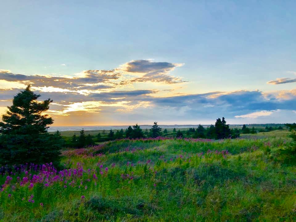 simontremblay81's tweet image. Superbe paysage bucolique à Natashquan... #CôteNord #BeautéduQuébec
Crédit photo: Luc Hamel (Le Québec rural, petites villes et villages)