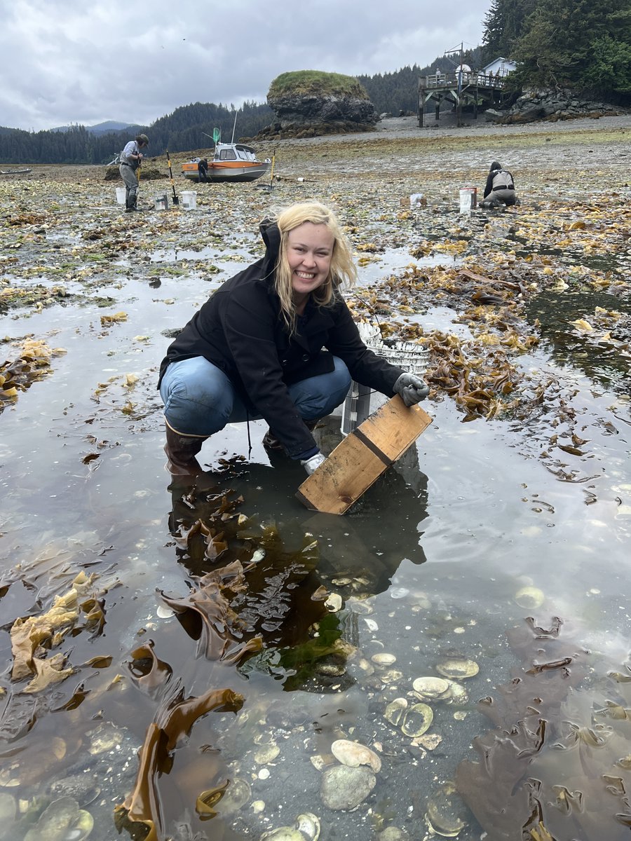 Alaska EPSCoR (@alaskaepscor) on Twitter photo Alaska EPSCoR Interface of Change researchers are studying clam ecology in Kachemak Bay in partnership with the Seldovia Village Tribe. This week, SVT environmental scientists Katrina Hecks and Stephen Payton are sampling clams at a beach near Seldovia. #FieldworkFriday Alaska EPSCoR Interface of Change researchers are studying clam ecology in Kachemak Bay in partnership with the Seldovia Village Tribe. This week, SVT environmental scientists Katrina Hecks and Stephen Payton are sampling clams at a beach near Seldovia. #FieldworkFriday