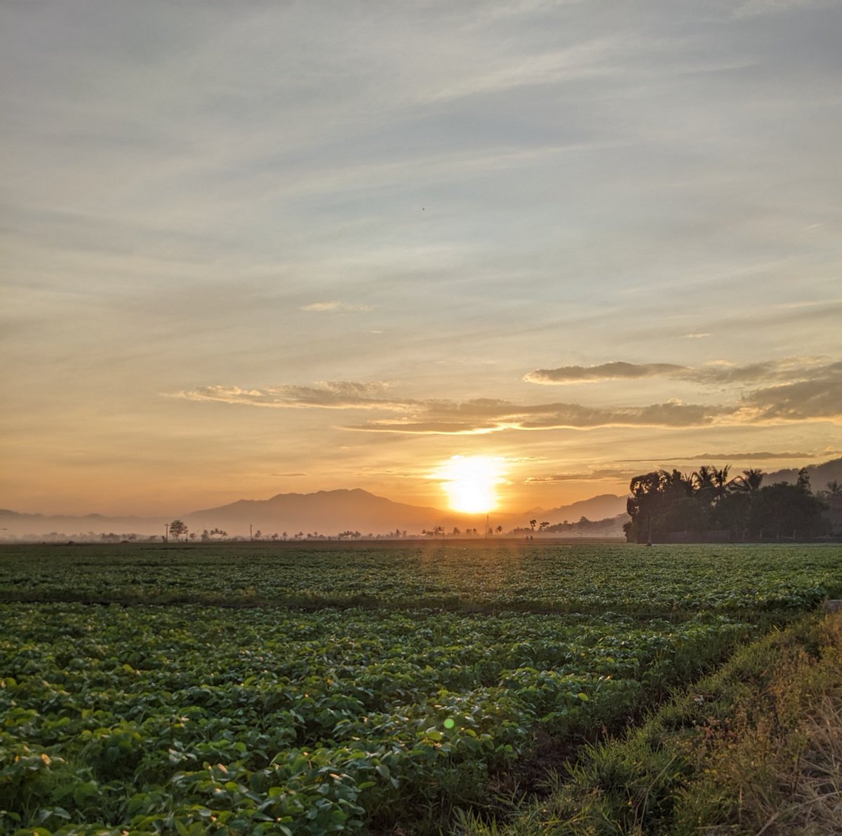 Sometimes is feels so good, to just be alone, not talking to anyone