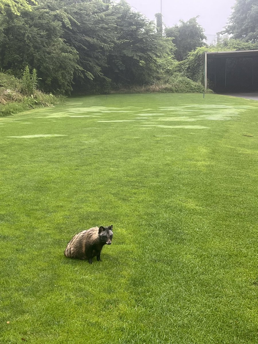 새벽티 나와서
오늘자 모닝 요약은 패쑤

알아서들 찾아머거엇