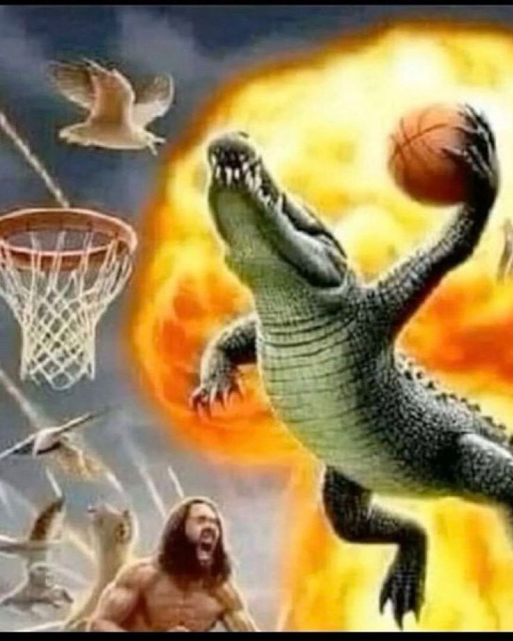 hourly_shitpost's tweet photo. https://t.co/JA2WMxaSbc