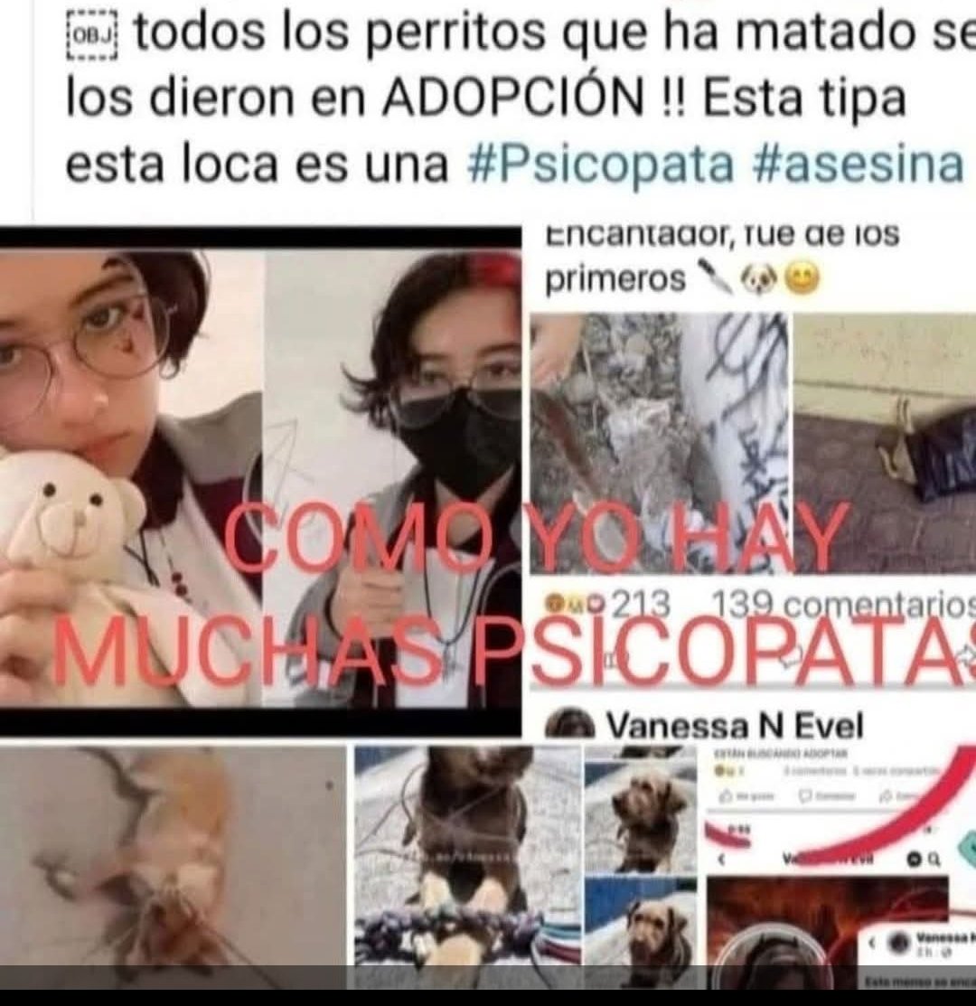 Abogado Animalista (@licanimalista) on Twitter photo Ni perdón, ni olvido para esta criminal y sus padres cómplices. Ojalá ahora sí las autoridades de <a href="/FiscaliaPuebla/">FGE Puebla</a> puedan informar sobre esté asunto CCP. <a href="/armentapuebla_/">Alejandro Armenta</a> Ni perdón, ni olvido para esta criminal y sus padres cómplices. Ojalá ahora sí las autoridades de <a href="/FiscaliaPuebla/">FGE Puebla</a> puedan informar sobre esté asunto CCP. <a href="/armentapuebla_/">Alejandro Armenta</a>
