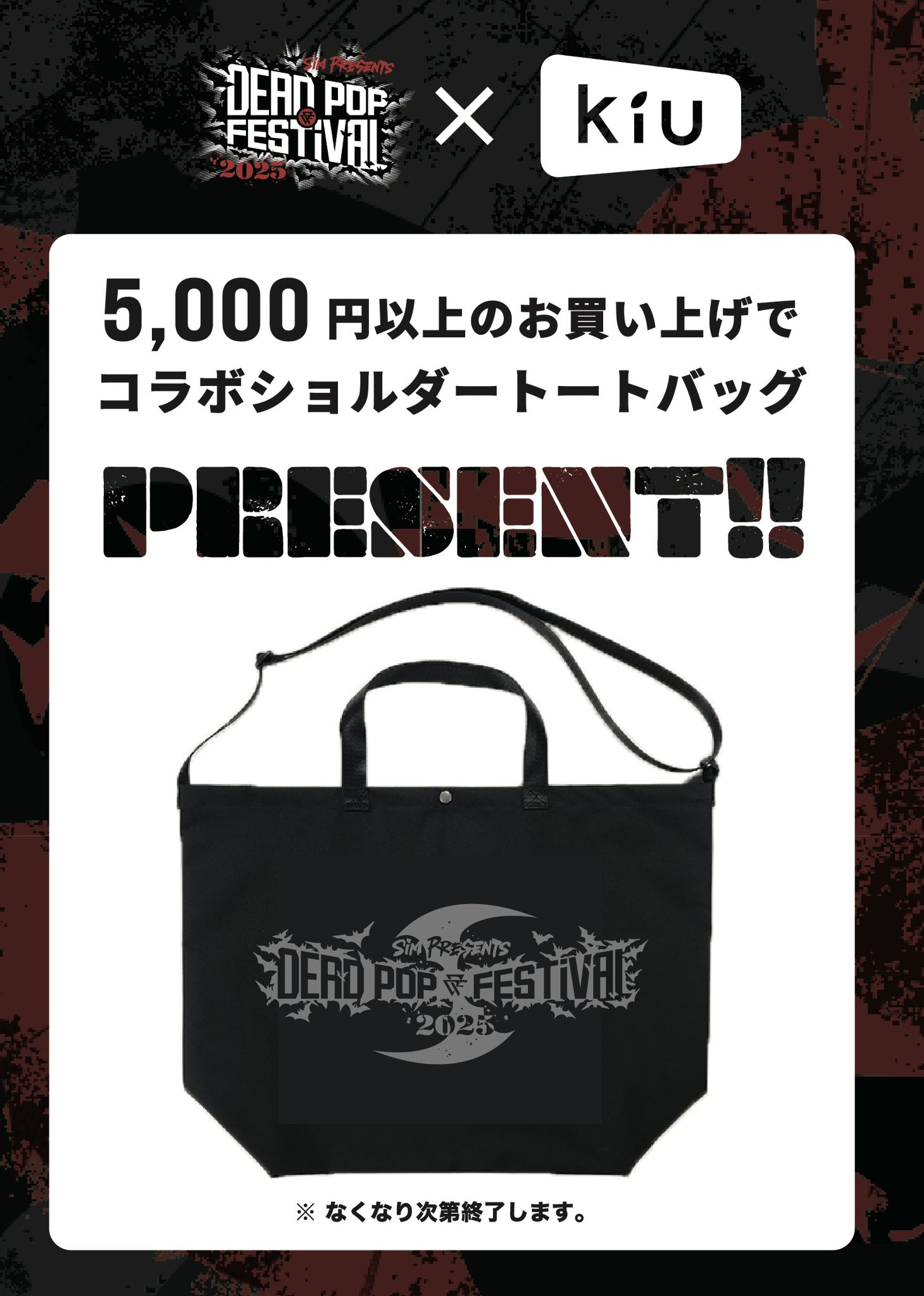 DEAD OR ALIVE4 B4ポスター 袋付き Savage Background Port-A-Stand Kit 62037-50 B&H Photo Video