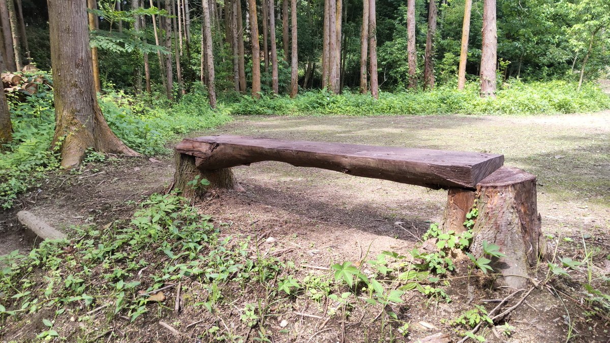 KABA362's tweet photo. 相方、林間サイトの4ヶ所に手造りベンチを設置🪵
テント設営撤収時にちょっと荷物を置ける場があると助かるよね。
もちろん座って森林浴するのもヨシ🌲
#KABA36
#林間サイト https://t.co/kGsoo8WR2W