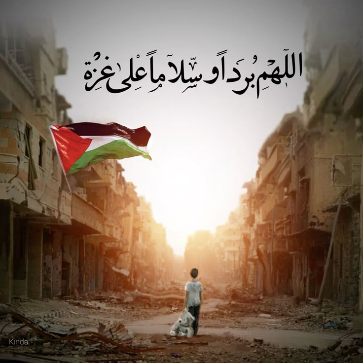 فاروق المقامي tweet media