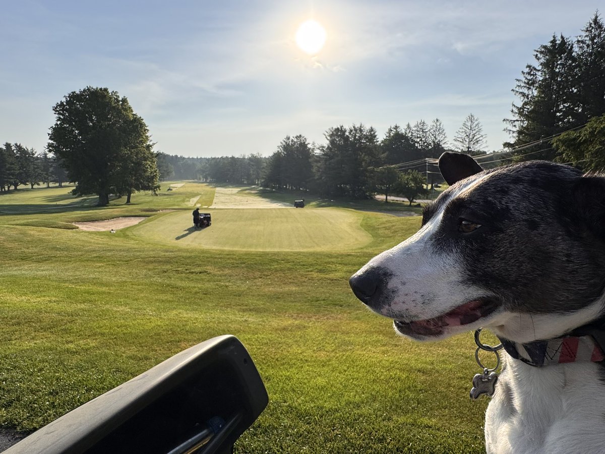 TJohnston tweet media