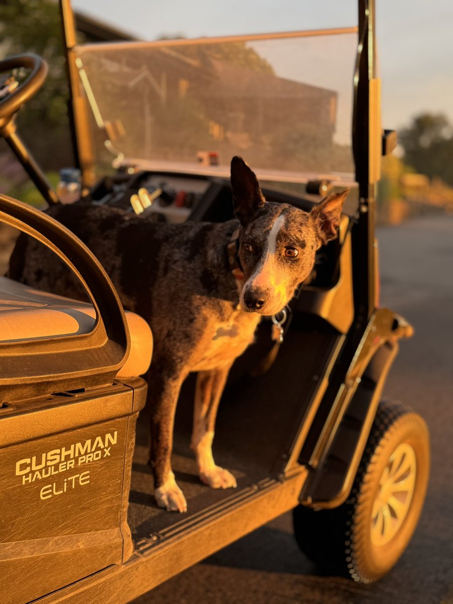 TJohnston tweet media