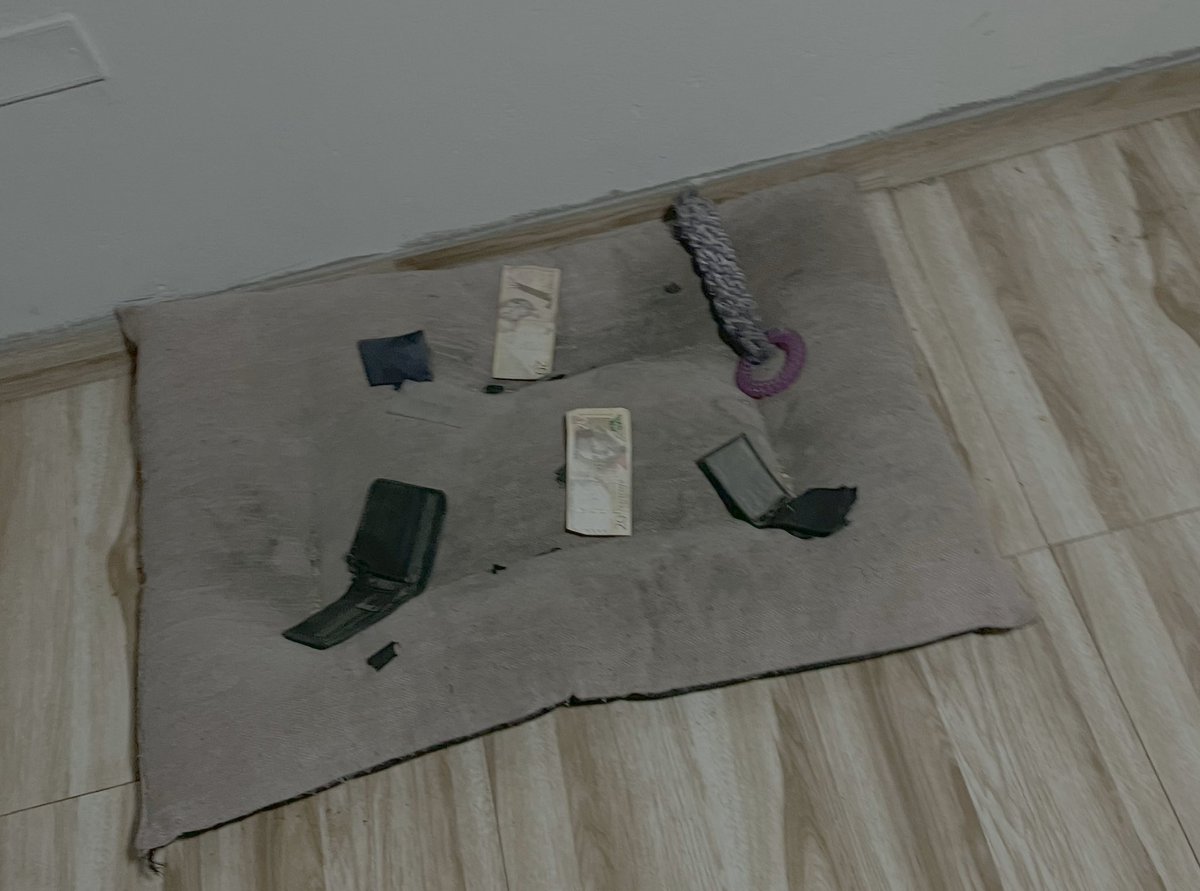 Grifvoid's tweet image. Vengo del Gym y veo que mi perro ha destrozado mi billetera y se ha comido 40 dolares xd