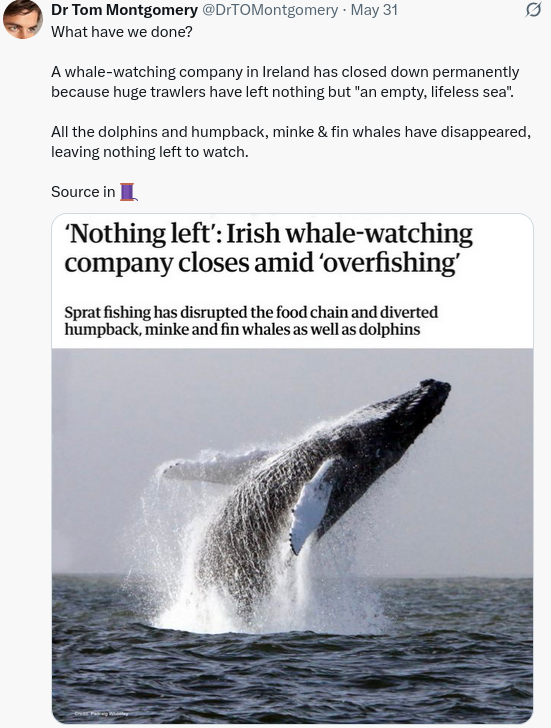 ECOWARRIORSS's tweet photo. This is what happens when fishing industry is allowed to fish without any controls 
They take and take until there is no fish left https://t.co/sFe2DwROkN