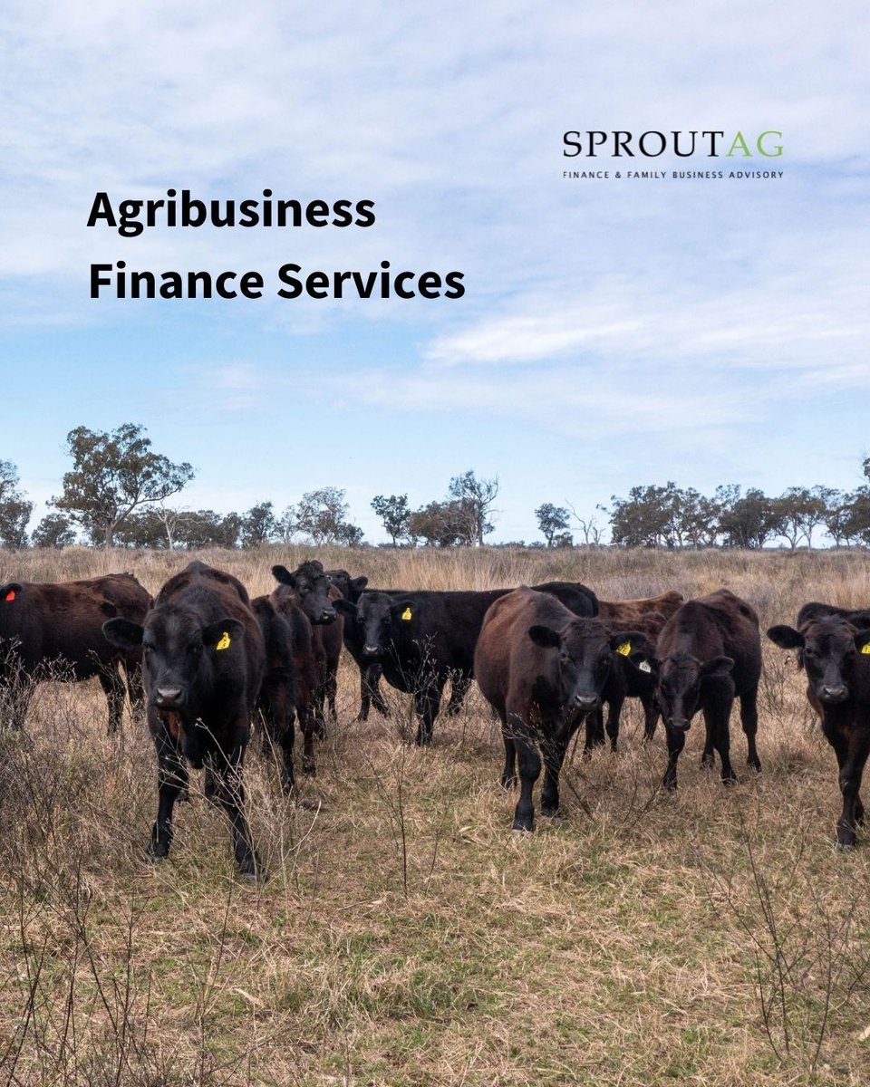 SproutAg delivers tailored agribusiness finance, working capital, property loans, livestock and seasonal funding. Designed to help Aussie farmers grow with confidence.

sproutag.com.au/agribusiness-f…