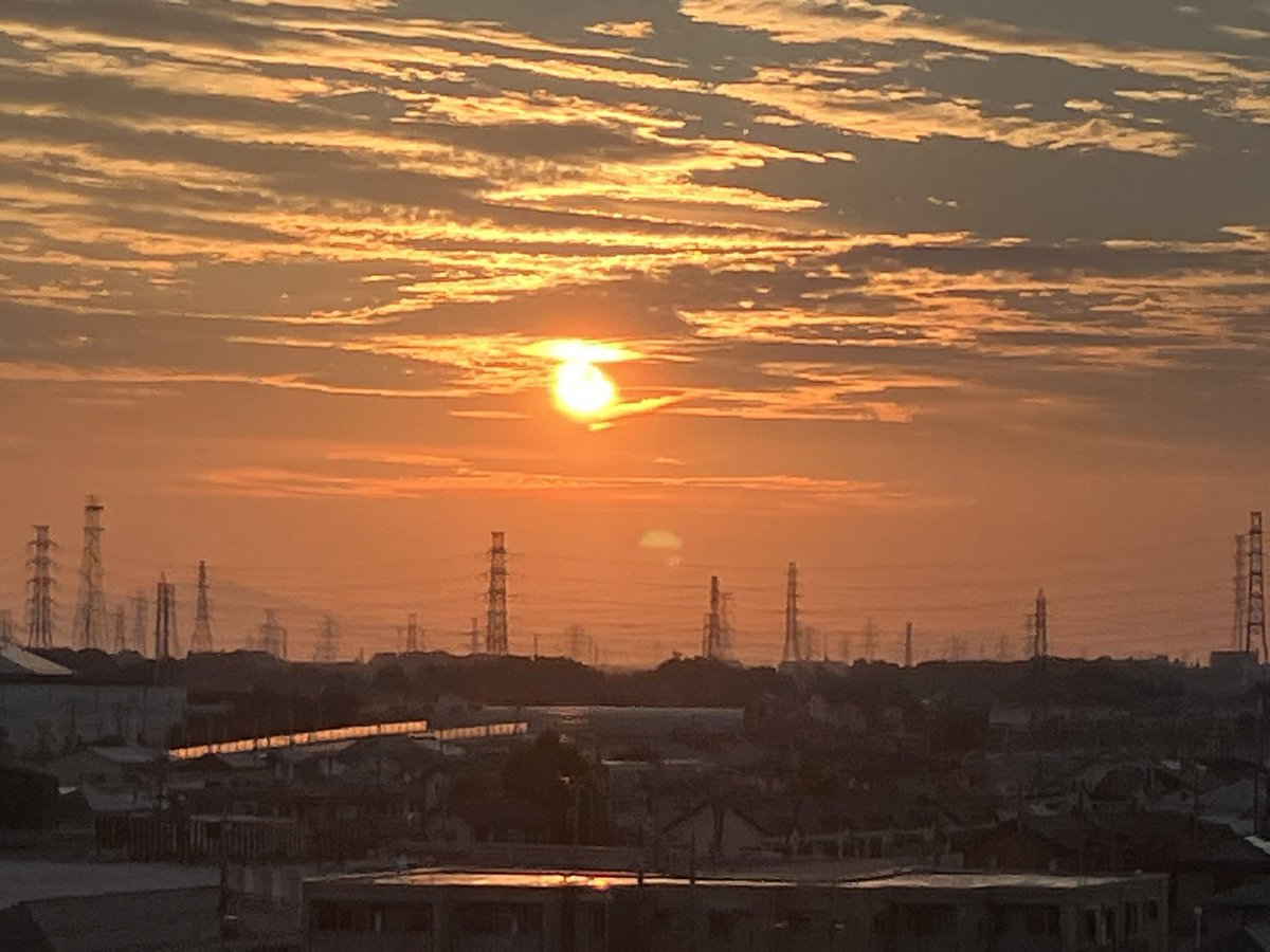 #鴨　#自然 #日の出 
#早朝ウオーキング 

早朝ウオーキングで、鴨の出迎えを受けて、今日も良い事がありそうです。

#早起きは三文の徳 ですね👍
okashigeo.com 
#白岡市