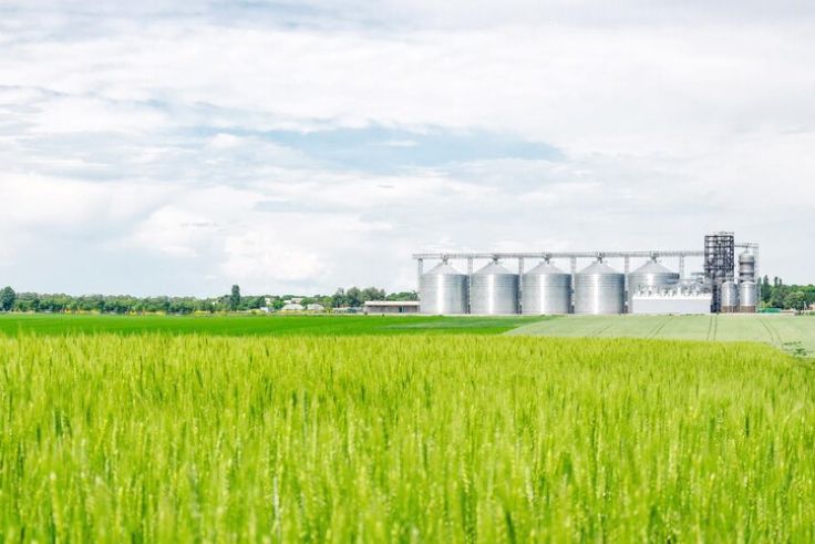 La Asociación de Molineros De Arroz De Panamá Analmo, aclaran que la Cadena Agroalimentaria del Arroz aprobó la importación de 1.1M quintales con arancel preferencial hasta el 30/08/2025.