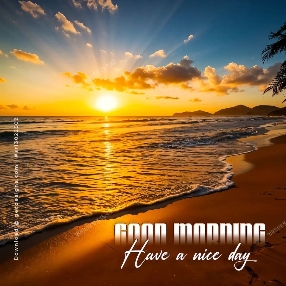 Good Morning X Family.