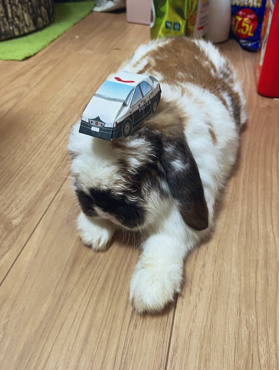 異様に難しかった