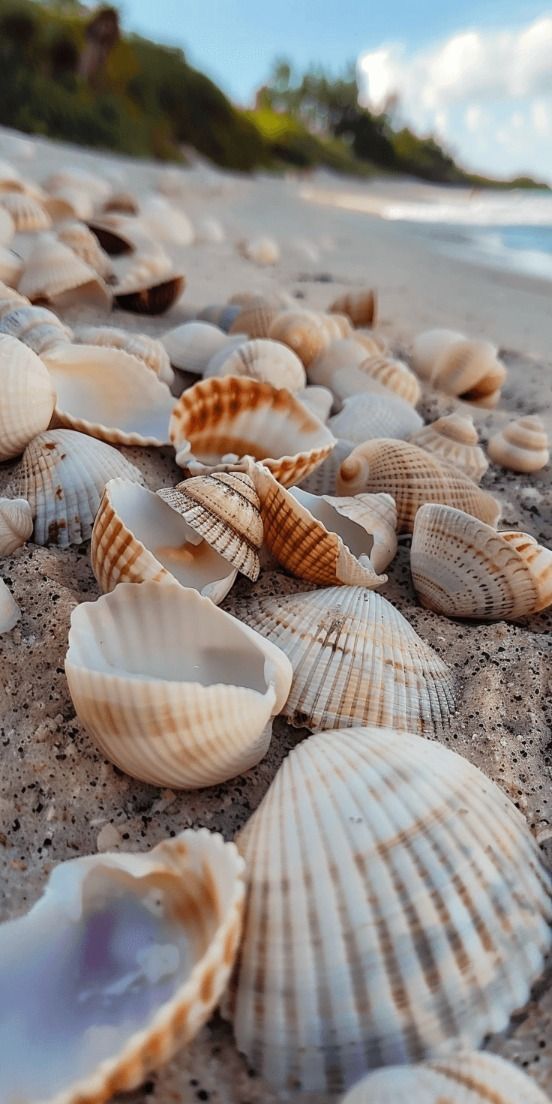 quick_day (@quickkharu) on Twitter photo 