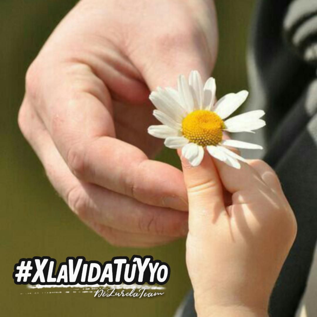 Magela 🇨🇺🌎 (@magelavazhed) on Twitter photo <a href="/DeZurdaTeam_/">DeZurdaTeam 📳</a> <a href="/agnes_becerra/">Agnes Becerra</a> <a href="/AdrianaRojasQba/">Adriana</a> <a href="/AriagnaPavonG/">Ariagna Pavón Guerrero🌻❤️🇨🇺</a> <a href="/CubanaLidice/">Lídice Cienfuegos Cuba🇨🇺🇨🇺</a> <a href="/GonzlezRa12/">Luis#RedEsSheinbaum 👊🇲🇽 #DeZurdaTeam 🇨🇺🇵🇸🇷</a> <a href="/L0renaGM/">Lorena 🇨🇺</a> <a href="/Vicente73977721/">Vicente Leal 🇨🇺🇵🇸🇧🇷🇻🇪🇳🇮</a> <a href="/yordanyhabana/">𝐘𝐨𝐫𝐝𝐚𝐧𝐲𝐇𝐚𝐛𝐚𝐧𝐚 🇨🇺🇻🇪🇳🇮🇵🇸</a> ✍️ #XLaVidaTúYYo
Gracias a la vida que me ha dado tanto
Me ha dado el sonido y el abecedario
Con él, las palabras que pienso y declaro
Madre, amigo, hermano y luz alumbrando
La ruta del alma del que estoy amando
#DeZurdaTeam <a href="/DeZurdaTeam_/">DeZurdaTeam 📳</a> <a href="/agnes_becerra/">Agnes Becerra</a> <a href="/AdrianaRojasQba/">Adriana</a> <a href="/AriagnaPavonG/">Ariagna Pavón Guerrero🌻❤️🇨🇺</a> <a href="/CubanaLidice/">Lídice Cienfuegos Cuba🇨🇺🇨🇺</a> <a href="/GonzlezRa12/">Luis#RedEsSheinbaum 👊🇲🇽 #DeZurdaTeam 🇨🇺🇵🇸🇷</a> <a href="/L0renaGM/">Lorena 🇨🇺</a> <a href="/Vicente73977721/">Vicente Leal 🇨🇺🇵🇸🇧🇷🇻🇪🇳🇮</a> <a href="/yordanyhabana/">𝐘𝐨𝐫𝐝𝐚𝐧𝐲𝐇𝐚𝐛𝐚𝐧𝐚 🇨🇺🇻🇪🇳🇮🇵🇸</a> ✍️ #XLaVidaTúYYo
Gracias a la vida que me ha dado tanto
Me ha dado el sonido y el abecedario
Con él, las palabras que pienso y declaro
Madre, amigo, hermano y luz alumbrando
La ruta del alma del que estoy amando
#DeZurdaTeam