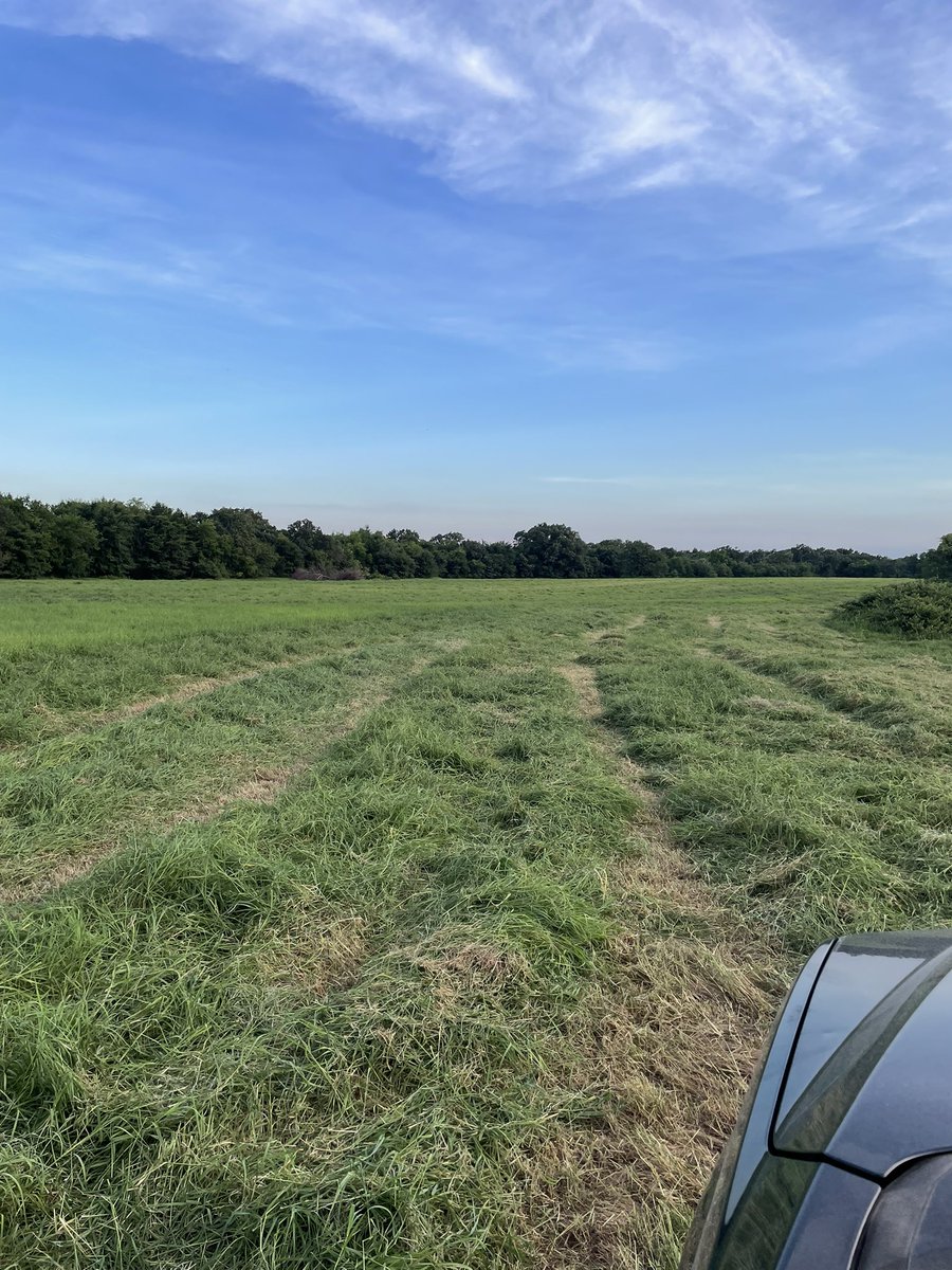 RCF_2008's tweet image. I reckon it is gonna make a few bales.