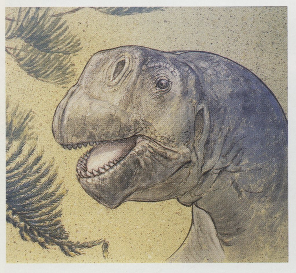 Tessasaurus_rex's tweet image. Happy #fossilfriday! Today I want to share one of my favorite depictions of Camarasaurus. Artwork by Bill Berry