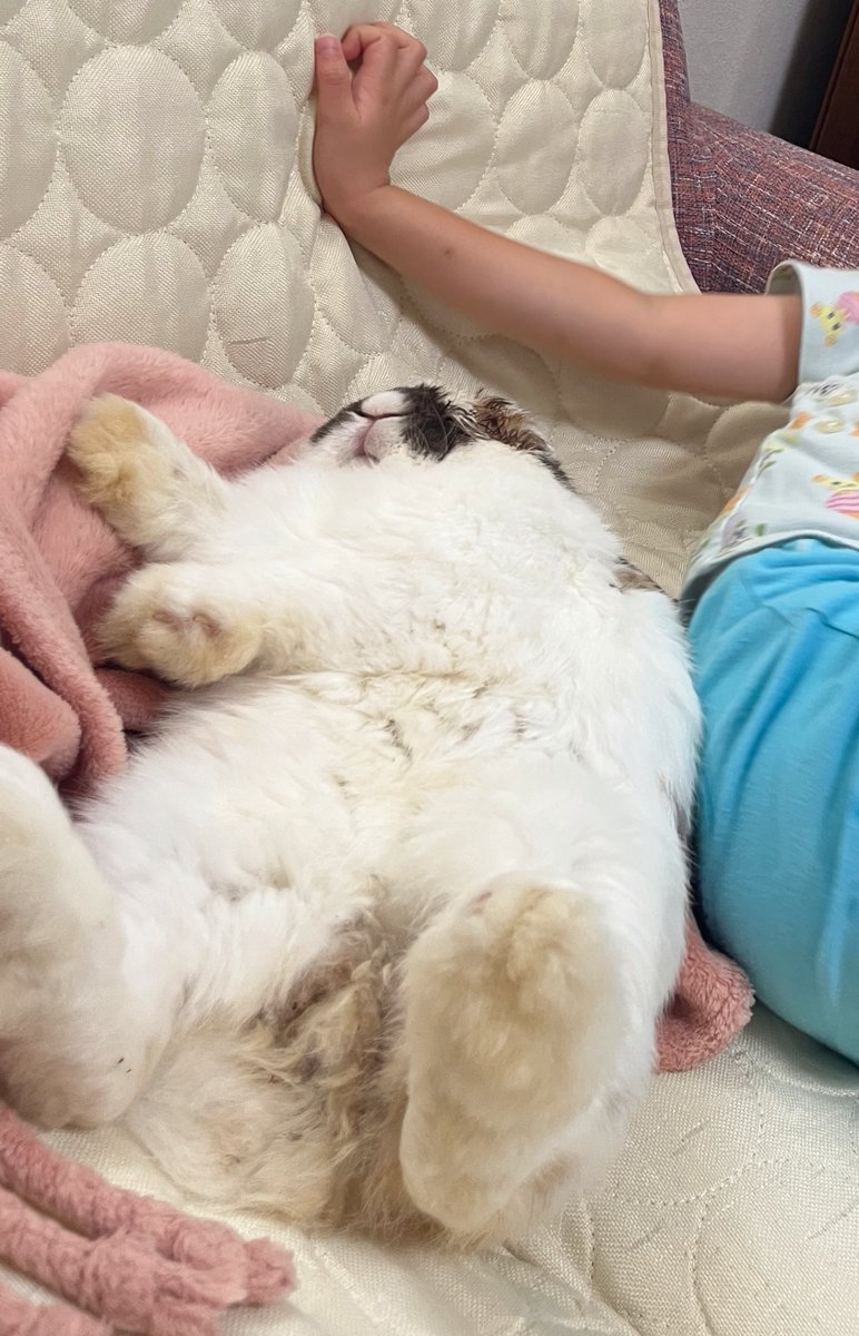 ソファでゴロゴロしてる