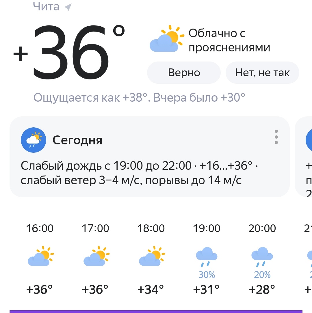 fatalist_really's tweet image. 🥵 лето я люблю, но никогда с тебя всё течёт водопадом...