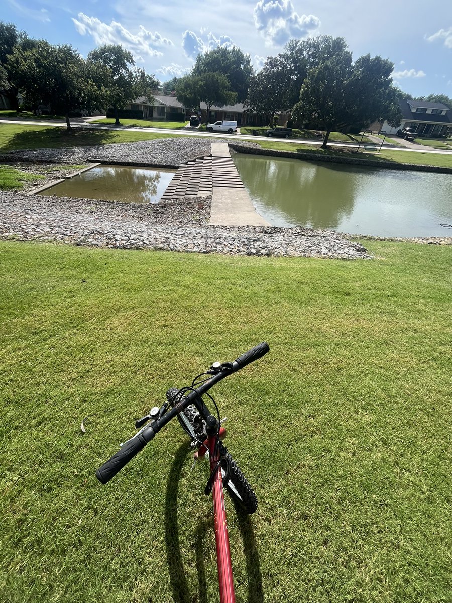Ch0c0L1ght's tweet photo. Might need the acro bike #oras #hoen https://t.co/qxhbnPQ4gI