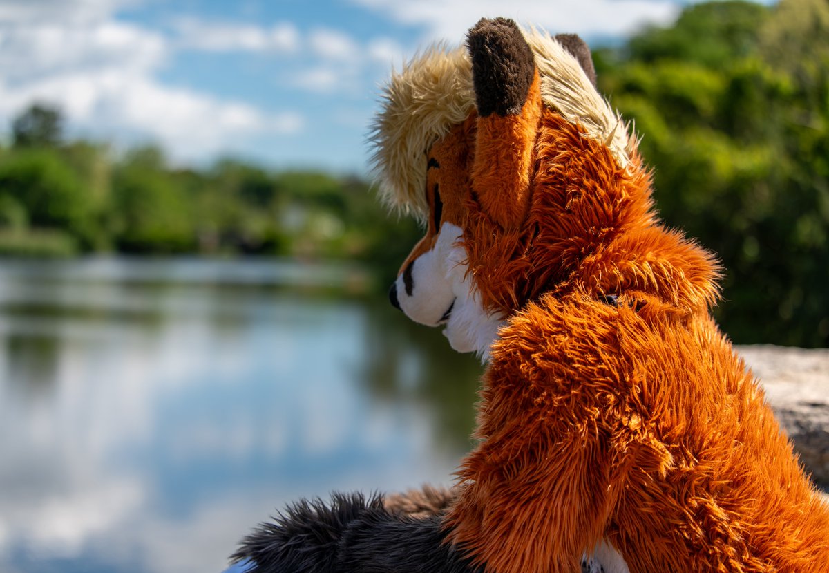 Come look at some pretty scenery with me this #FursuitFriday!

#furry #fursuit