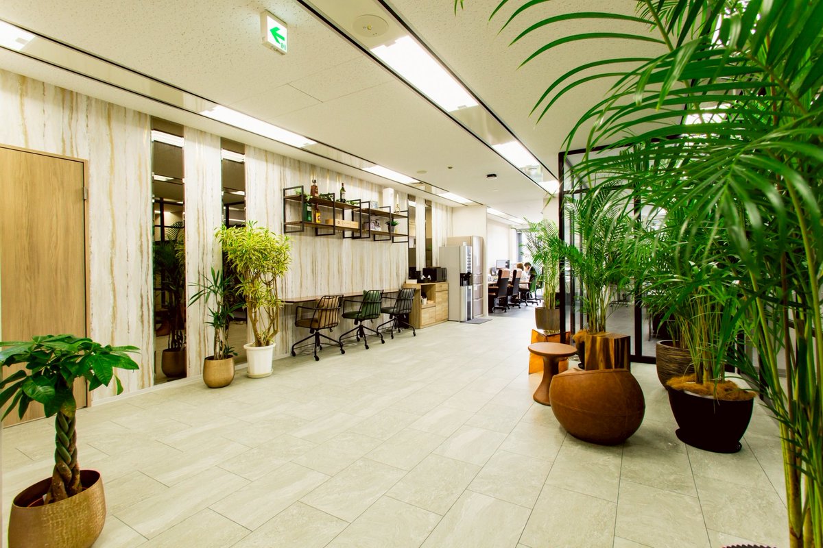 浦飯　幽子 tweet media