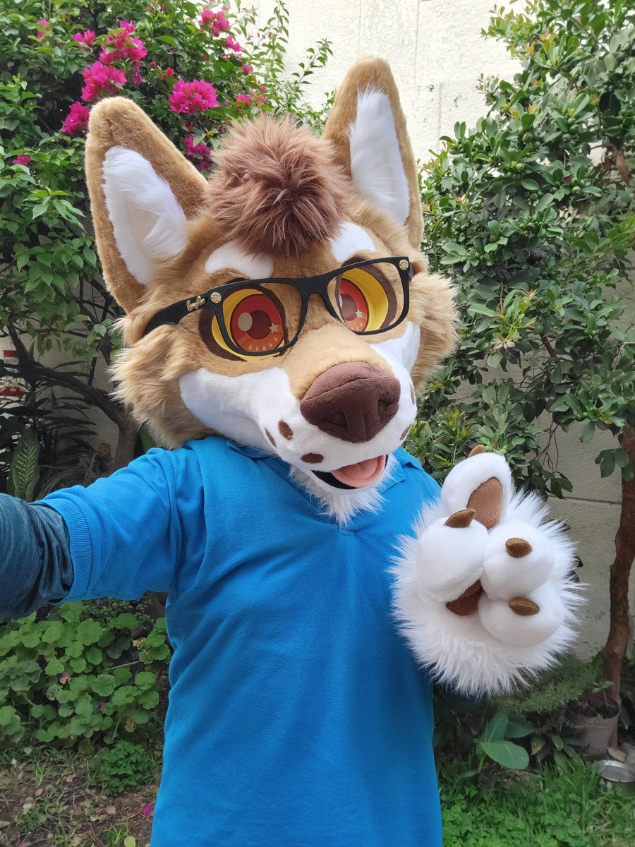 Who's your favorite nerdy boy? 🤓 #FursuitFriday