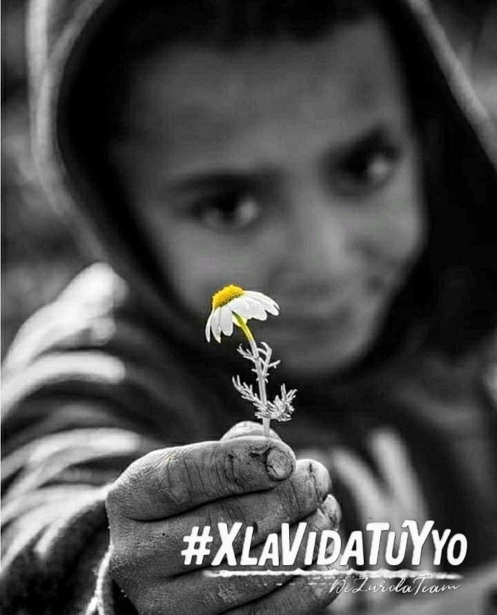 Escobar88 (@duniaescobar72) on Twitter photo #XLaVidaTuYYo demostrando que los pequeños detalles hacen la diferencia no nos cansemos de pedir el sece del genocidio <a href="/DeZurdaTeam_/">DeZurdaTeam 📳</a>
<a href="/RafaelR71812878/">Rafael Rojas</a>
<a href="/osmell_89/">Osmel Rodríguez 🇵🇸</a> <a href="/LabordeArnaldo/">Arnaldo M Laborde Williams🇨🇺🇦🇷🇪🇭🇻🇪🇪🇸🇲🇽</a> <a href="/CalderinDora/">Dora Salabarria Calderín</a> <a href="/Anita_Zurda/">Anita González</a> <a href="/CubaSamurai/">Samurái De Cuba</a> #XLaVidaTuYYo demostrando que los pequeños detalles hacen la diferencia no nos cansemos de pedir el sece del genocidio <a href="/DeZurdaTeam_/">DeZurdaTeam 📳</a>
<a href="/RafaelR71812878/">Rafael Rojas</a>
<a href="/osmell_89/">Osmel Rodríguez 🇵🇸</a> <a href="/LabordeArnaldo/">Arnaldo M Laborde Williams🇨🇺🇦🇷🇪🇭🇻🇪🇪🇸🇲🇽</a> <a href="/CalderinDora/">Dora Salabarria Calderín</a> <a href="/Anita_Zurda/">Anita González</a> <a href="/CubaSamurai/">Samurái De Cuba</a>