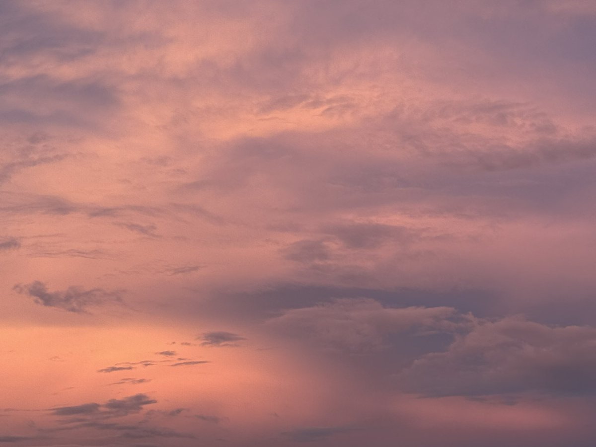 bear (@cowboibear) on Twitter photo 