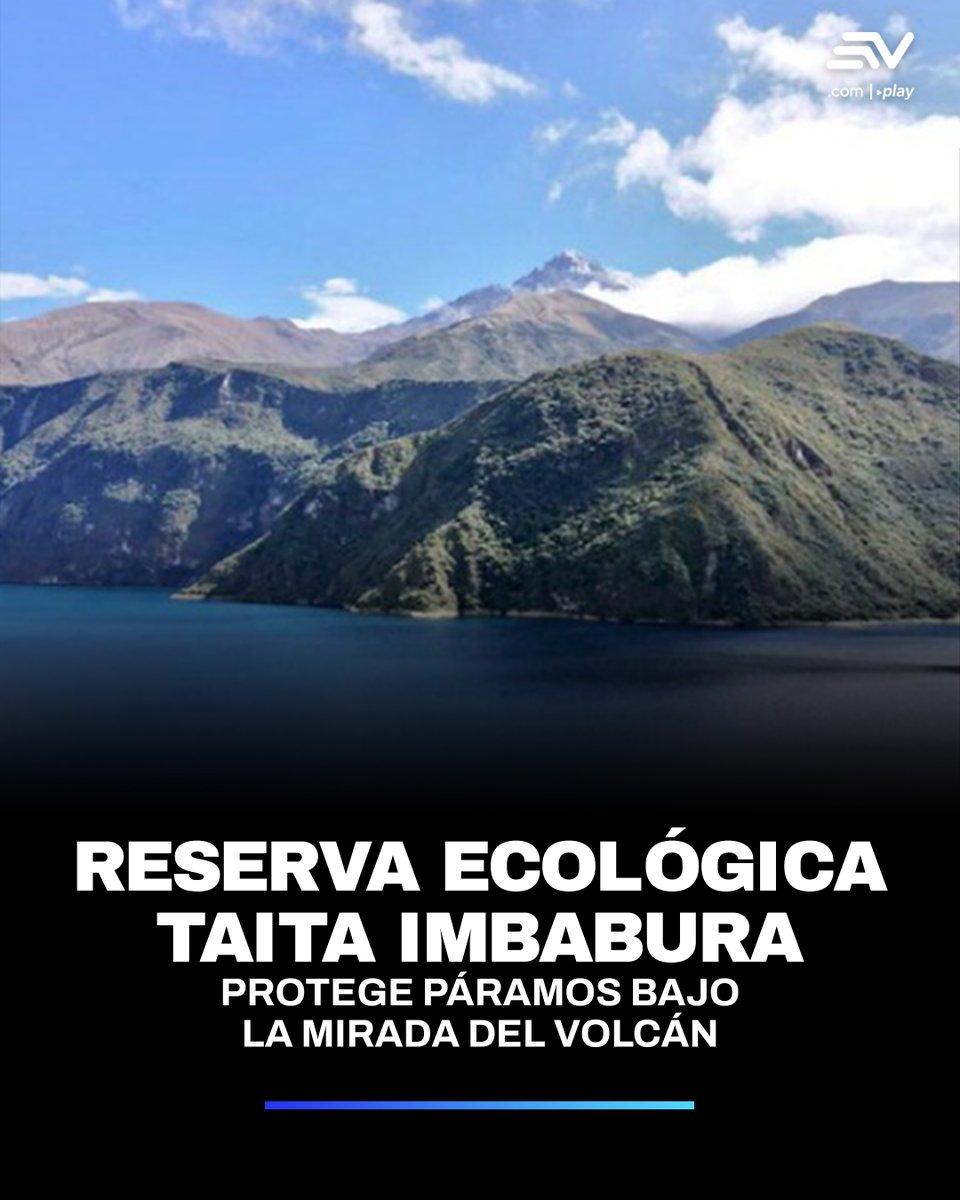 #Ecuaterra 🌱 | La reserva ecológica Taita Imbabura es una de las áreas ecológicas de conservación más recientes de Ecuador. Se extiende por 3 717 hectáreas e incluye los cantones de Ibarra, Antonio Ante y Otavalo. 👉 bit.ly/4kawUKj